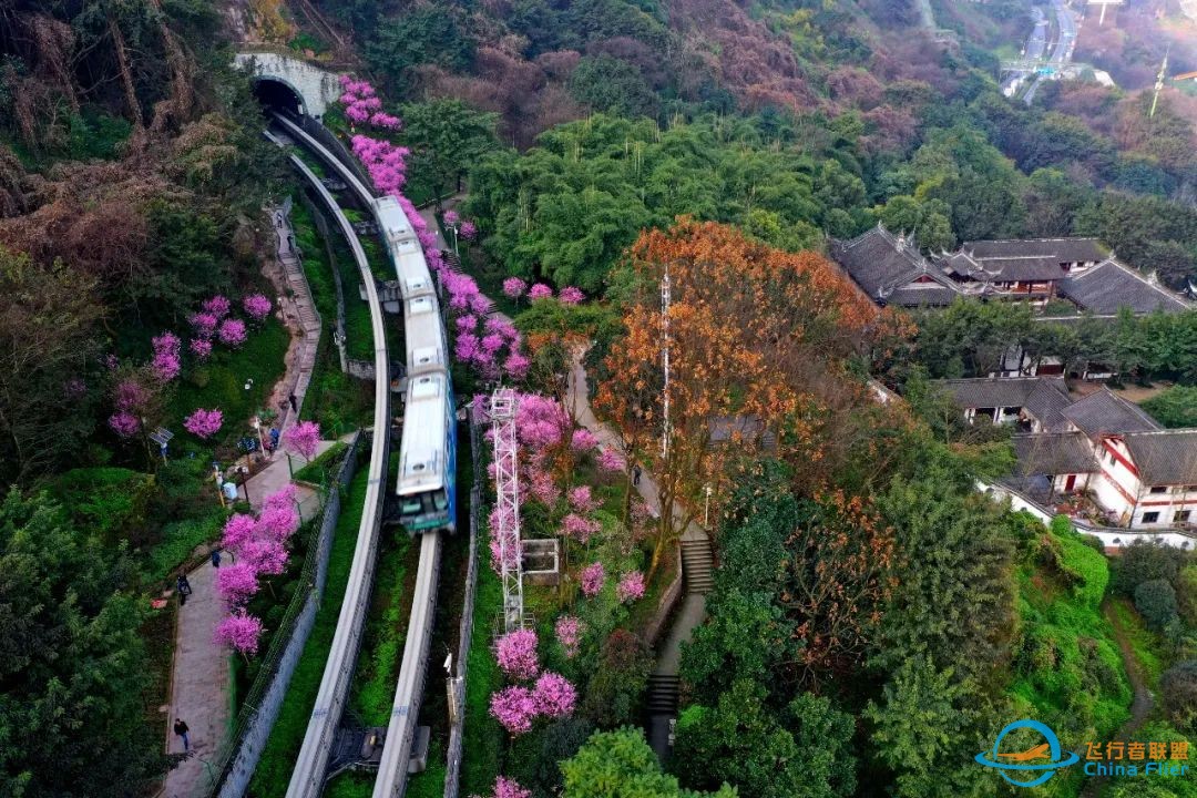 “网红列车”遭撞击逼停!这种行为已有多人被罚w5.jpg