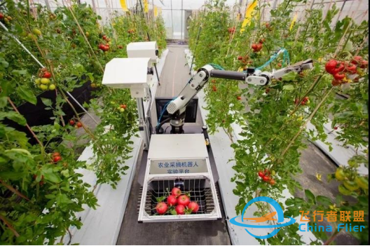 视觉采摘机器人助力发展智能生态农业-2.jpg