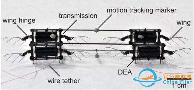 MIT青年科学家研发“昆虫无人机”，碰撞翻滚后也能立即复飞-6.jpg