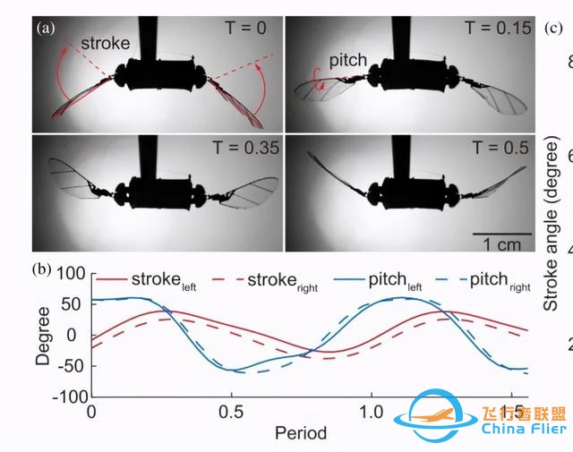 MIT青年科学家研发“昆虫无人机”，碰撞翻滚后也能立即复飞-8.jpg