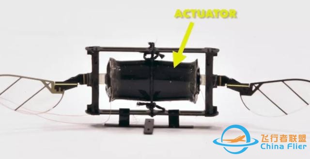 MIT青年科学家研发“昆虫无人机”，碰撞翻滚后也能立即复飞-9.jpg