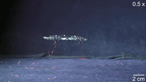 MIT青年科学家研发“昆虫无人机”，碰撞翻滚后也能立即复飞-15.jpg
