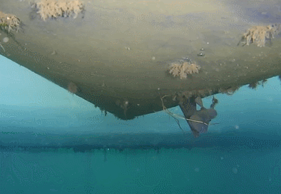 【首发】水下无人机！Gladius mini潜水拍摄和操控评测-24.jpg