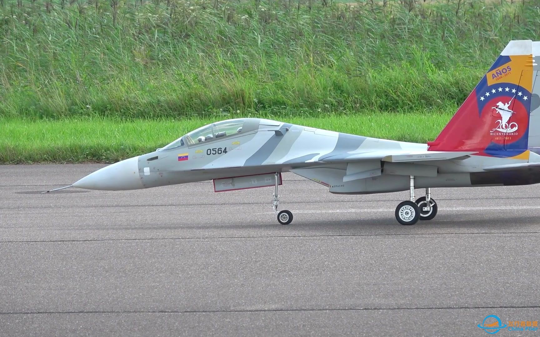 SU-30航模，落叶飘也太漂亮了-1.jpg