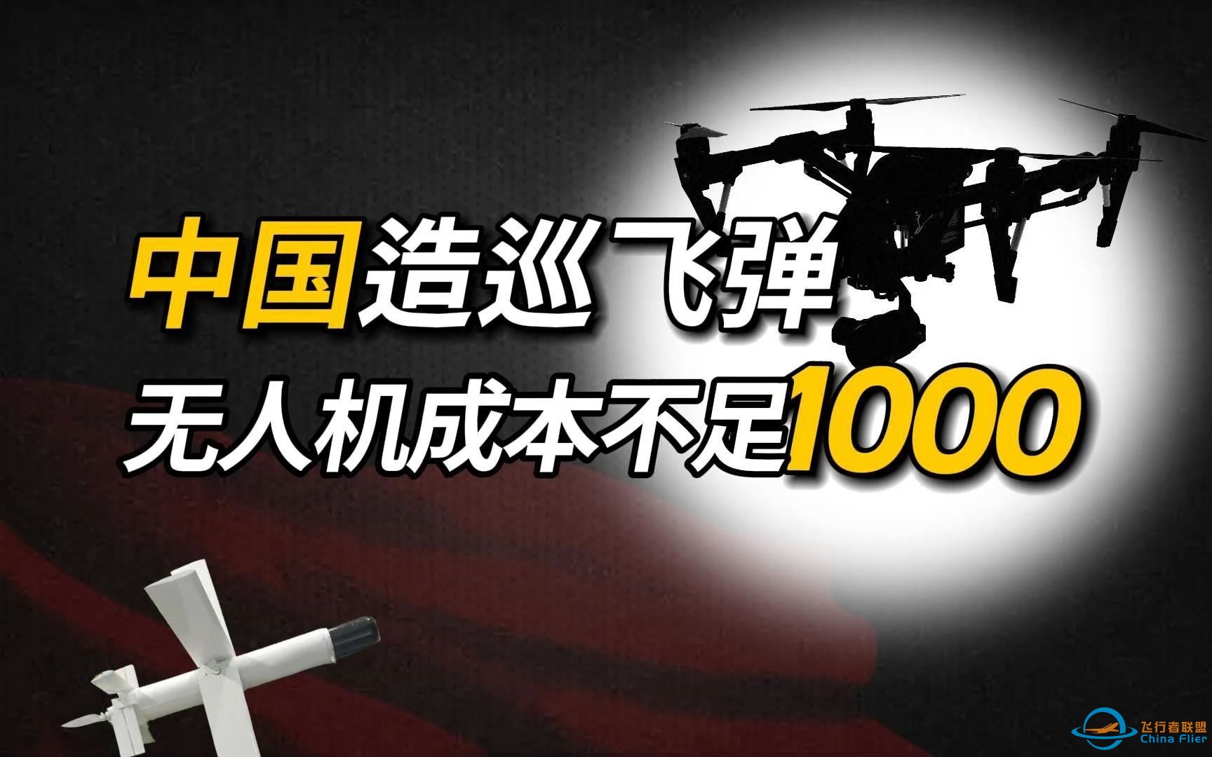 中国造巡飞弹，无人机成本不足1000元-1.jpg