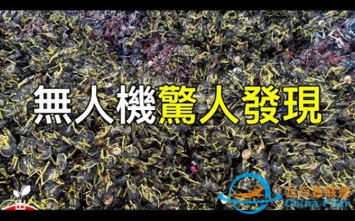 平常看不到的景象！最值得一看的十五大无人机录像：你看过几个？无人机捕捉到了人们不该看到的东西！-1.jpg