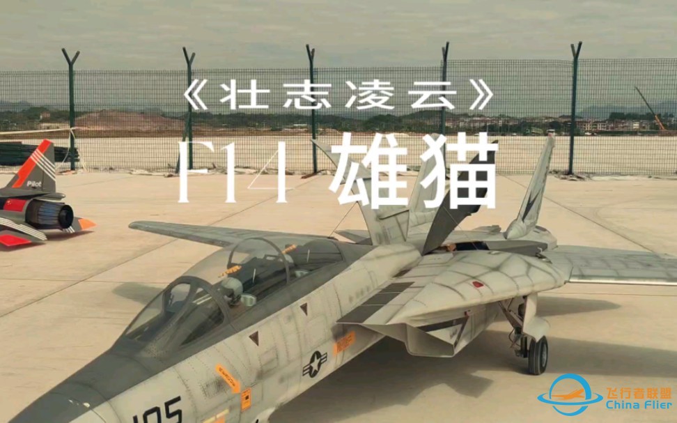 F14雄猫战斗机航模，价值18万的航模天花板-1.jpg