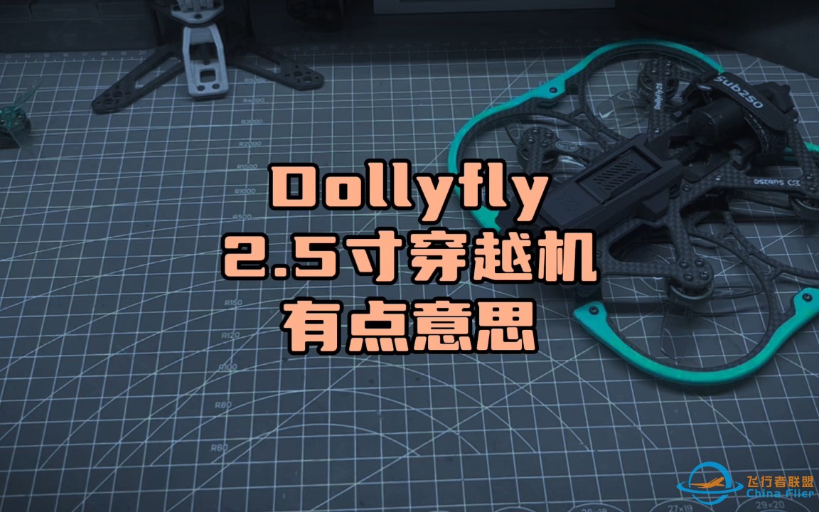 〖T.O.P.〗这台2.5寸穿越机玩法儿多，所以就叫Dollyfly25-1.jpg