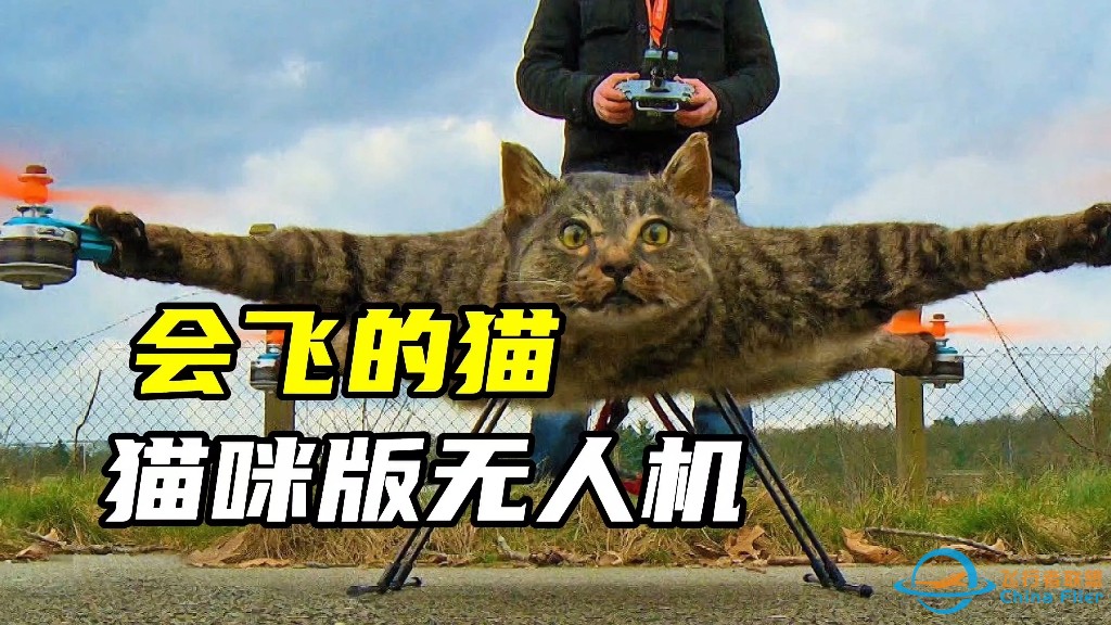 猫咪版无人机你见过吗？-1.jpg