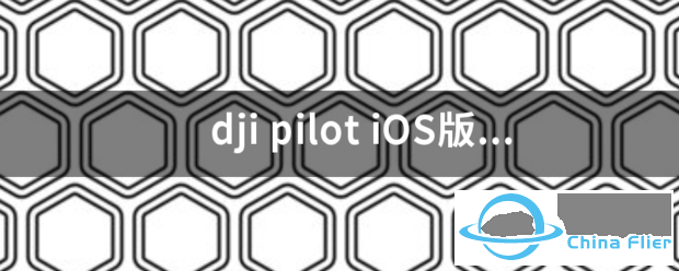 dji pilot-1.png