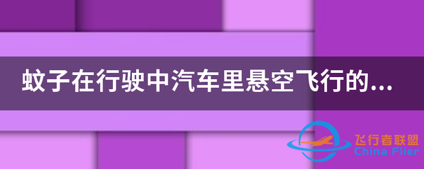 蚊子在行驶中汽车里悬空飞行的问题-1.png