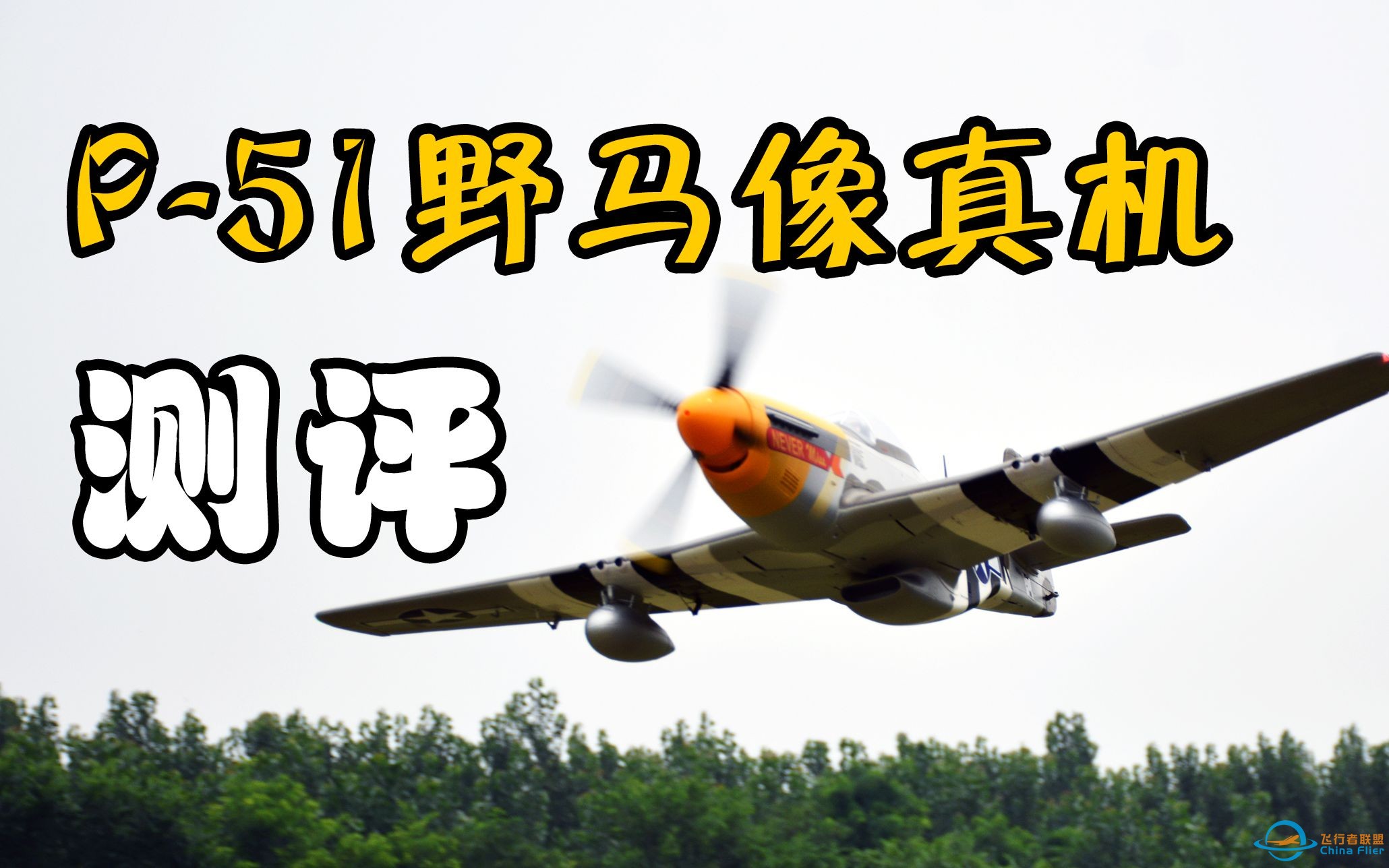 【航模测评】“永不忘记”的战斗机P-51D野马，fms电动1500mm泡沫像真机-1.jpg