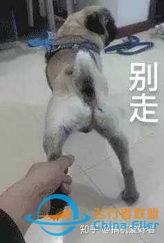 新手如何入门无人机航拍？-5.jpg