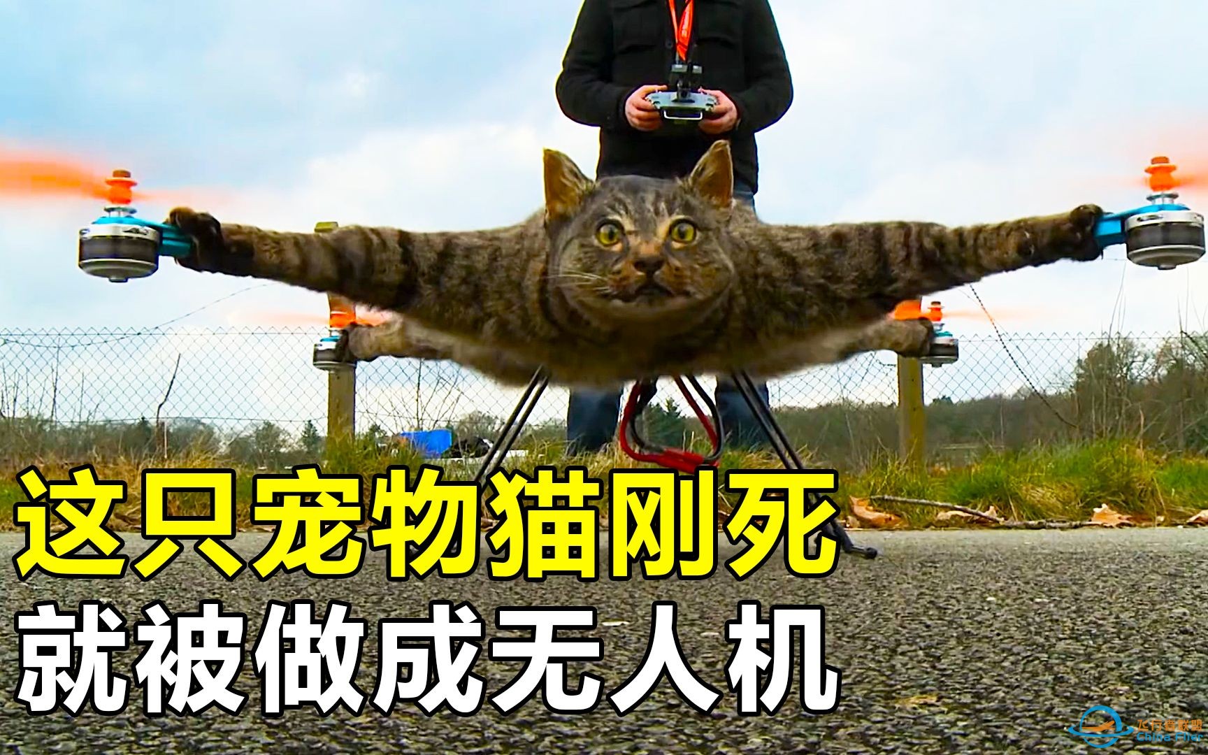 猫咪刚去世，却被主人做成无人机，改造后时速高达120km/h-1.jpg