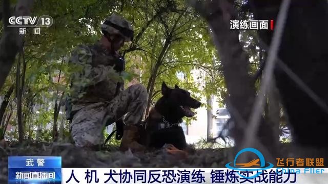 武警+军犬+穿越机战力MAX！硬核“反恐小分队”了解一下-2.jpg